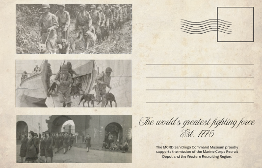 The Command Museum Postcard