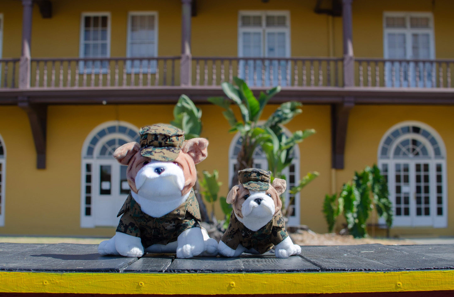 Mini Bulldog in Camo Uniform - 9" Tall